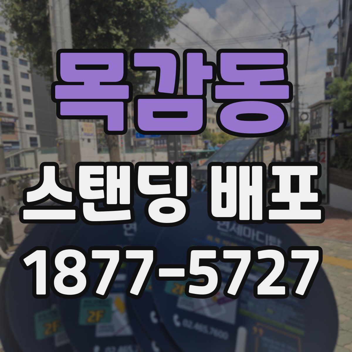 목감동 스탠딩 배포
