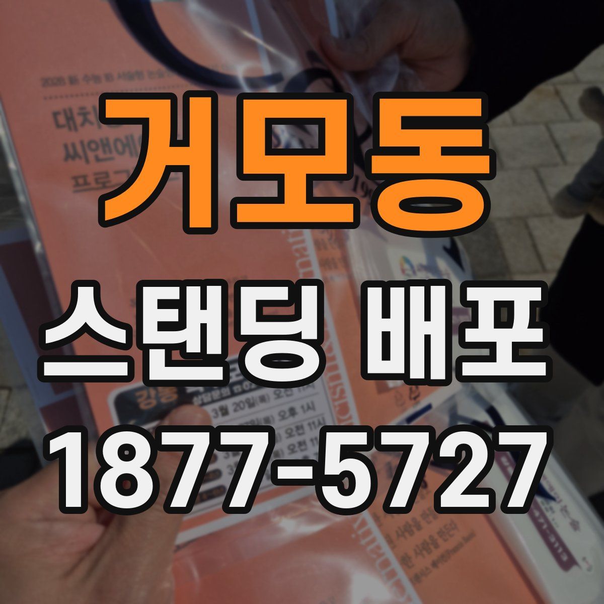 거모동 스탠딩 배포