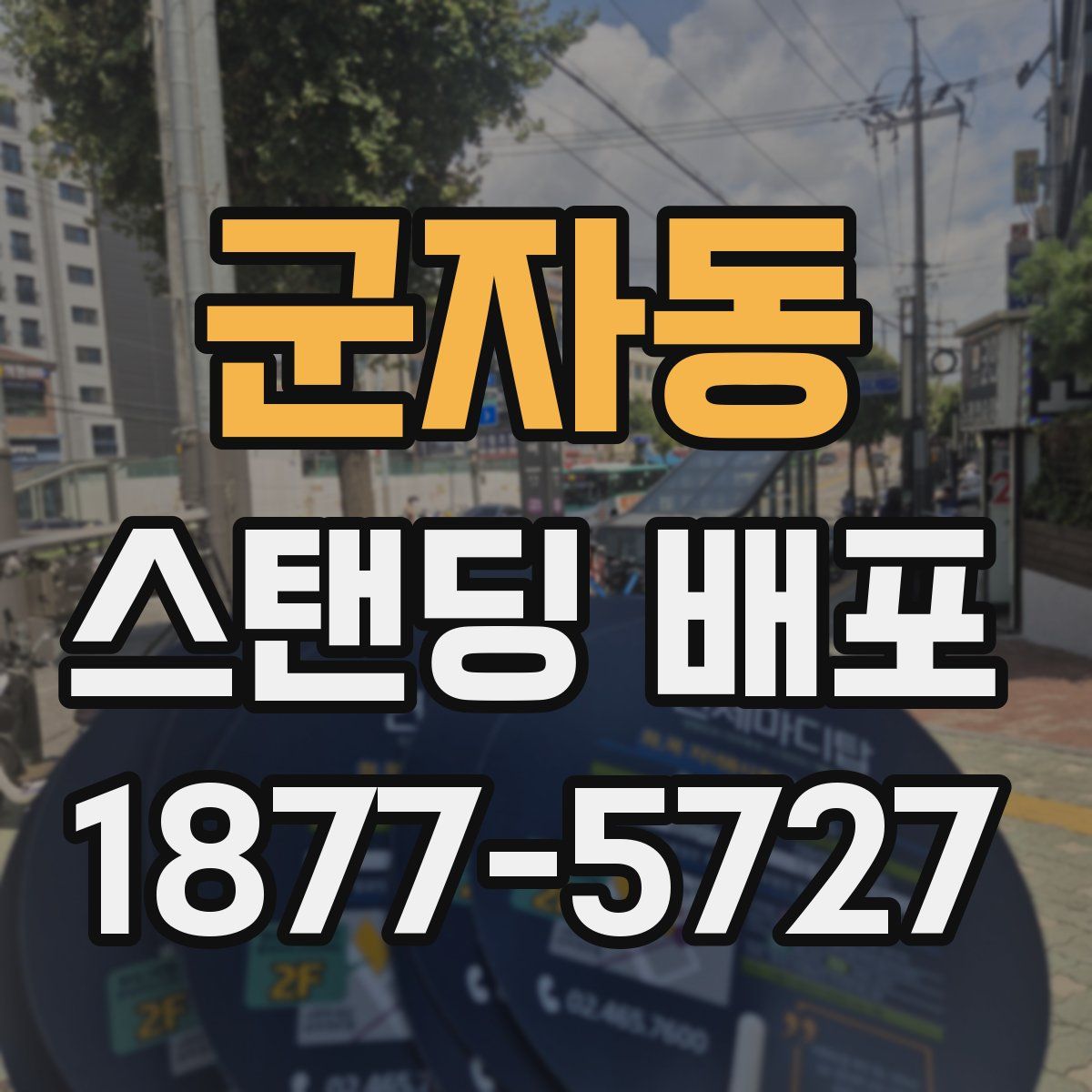 군자동 스탠딩 배포