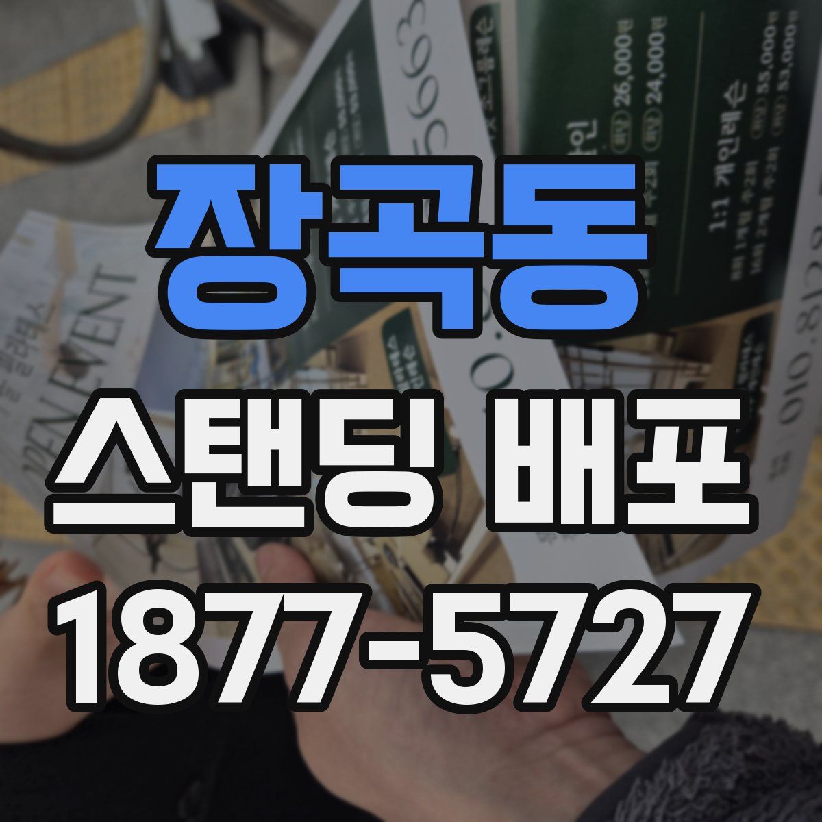 장곡동 스탠딩 배포