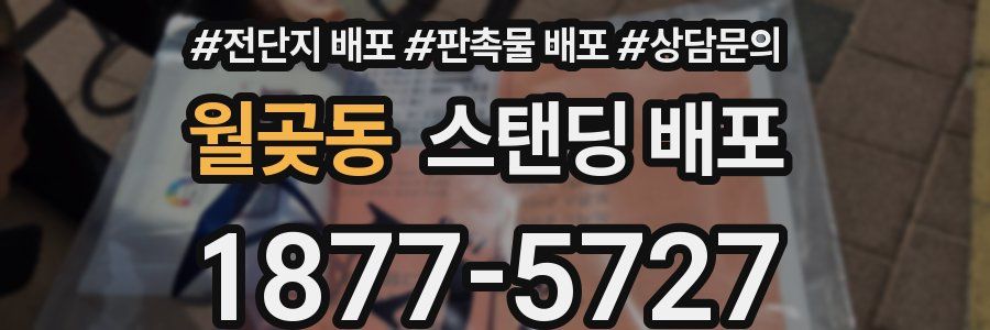 월곶동 스탠딩 배포