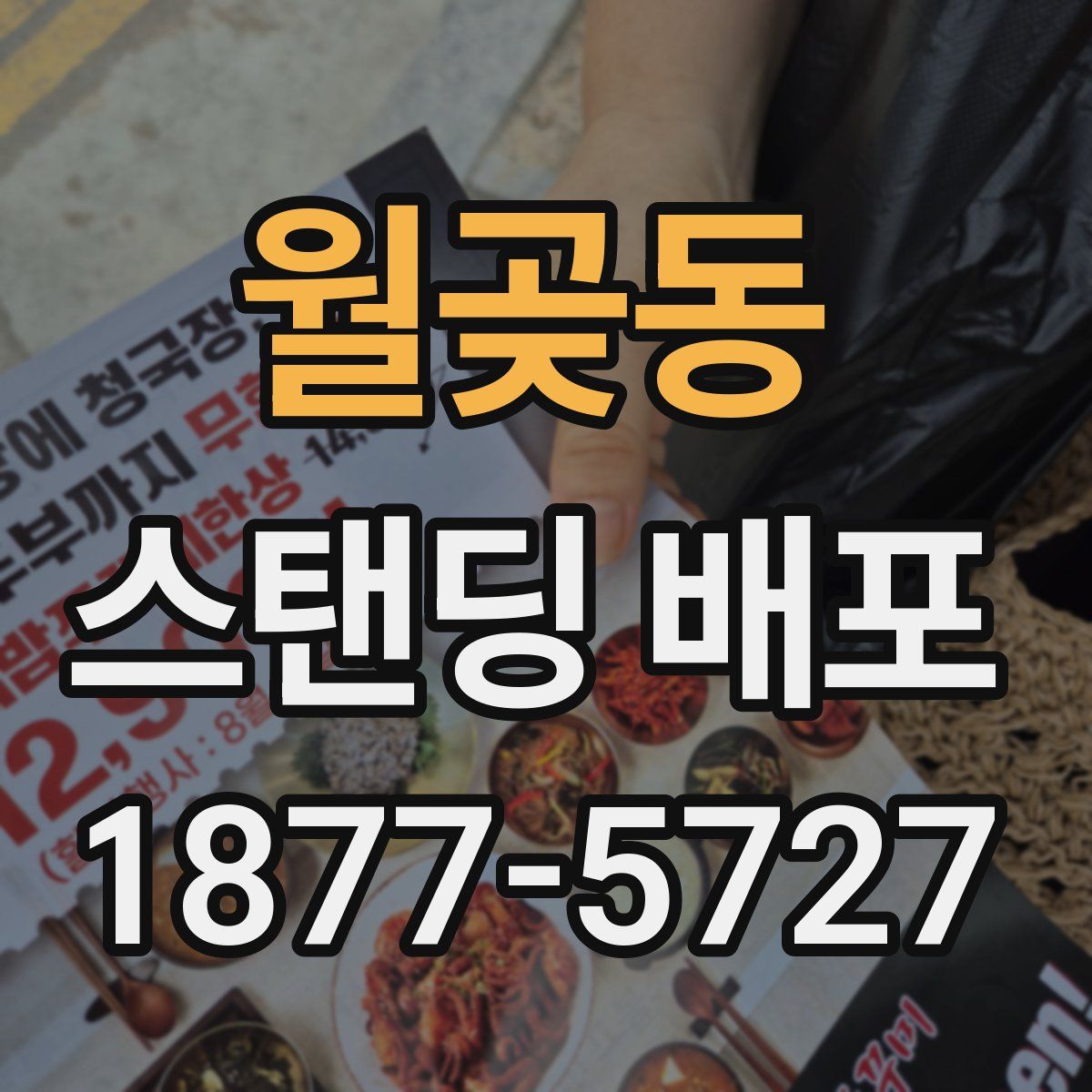 월곶동 스탠딩 배포