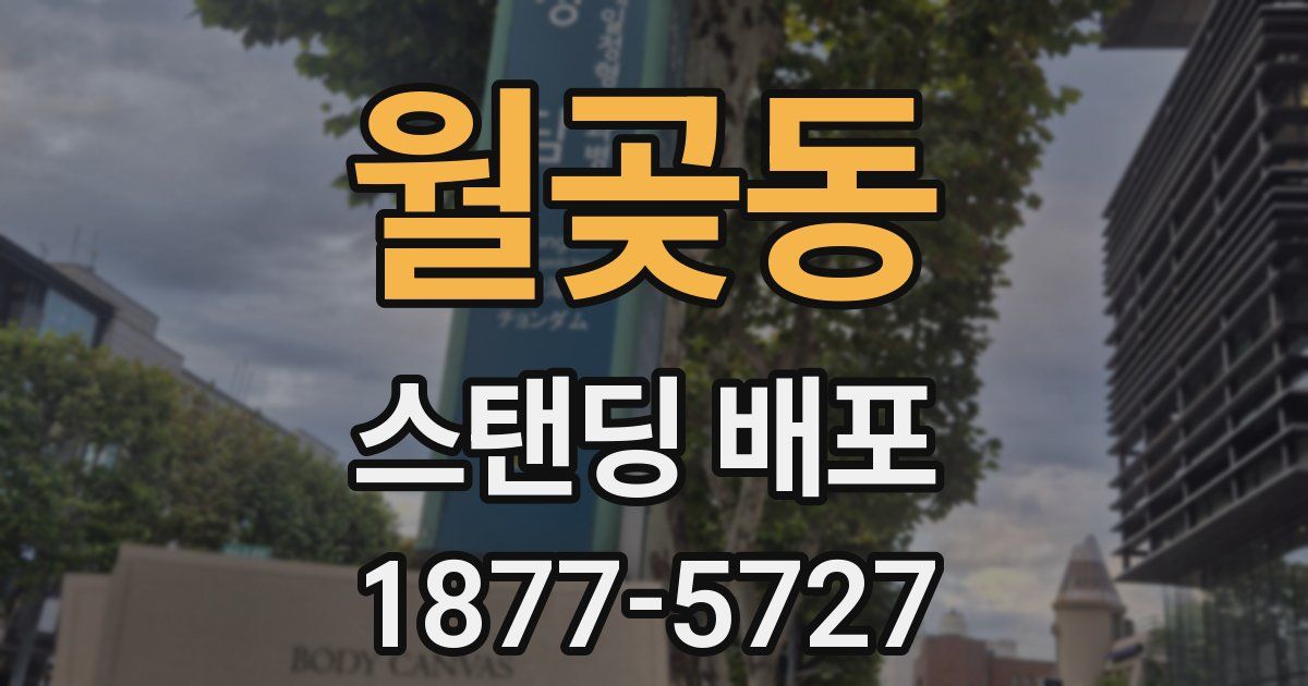 월곶동 스탠딩 배포