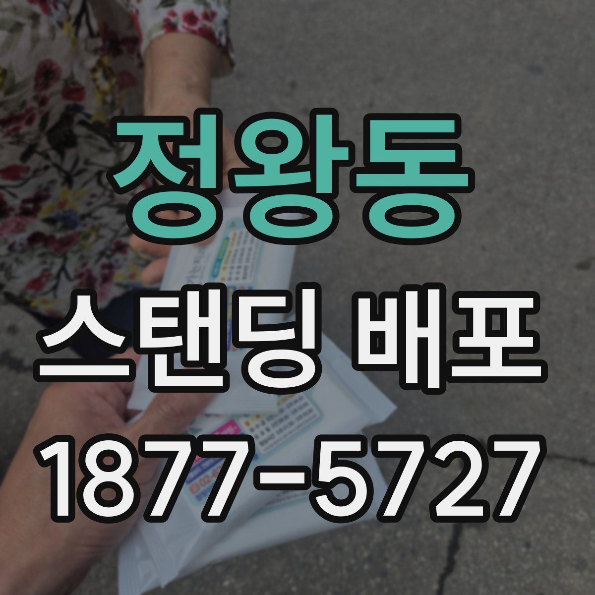 정왕동 스탠딩 배포