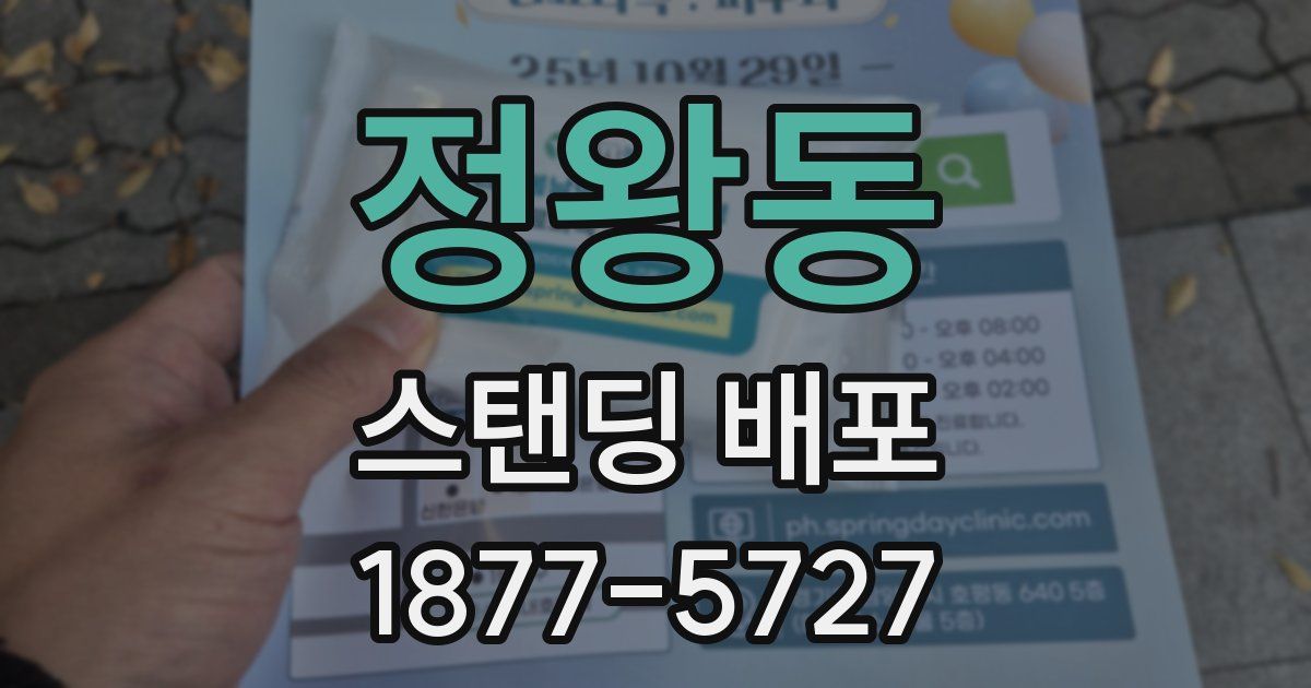 정왕동 스탠딩 배포