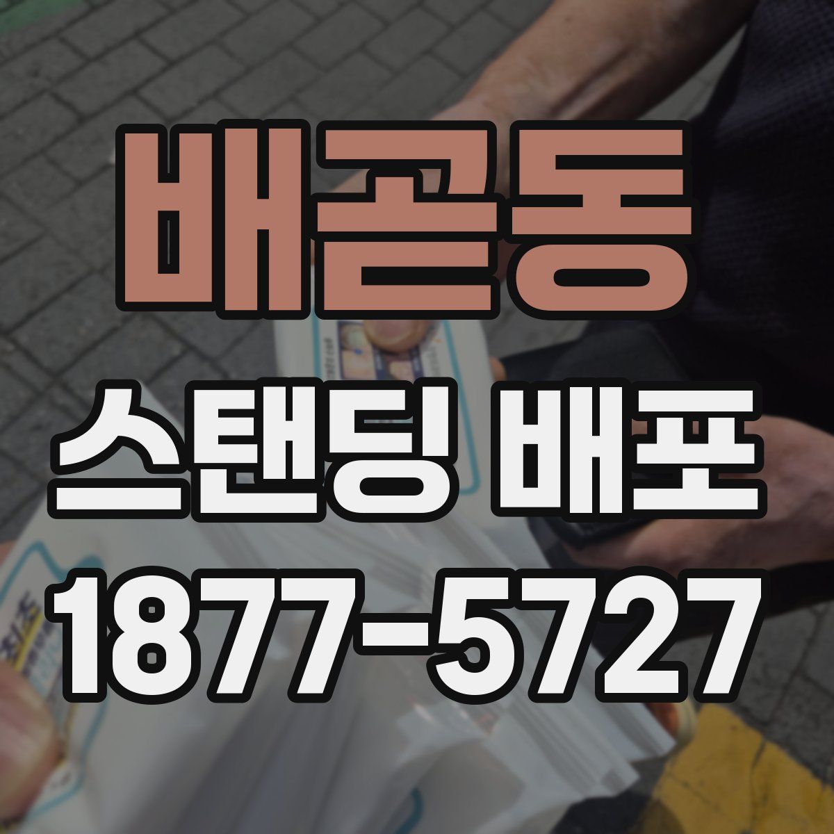 배곧동 스탠딩 배포