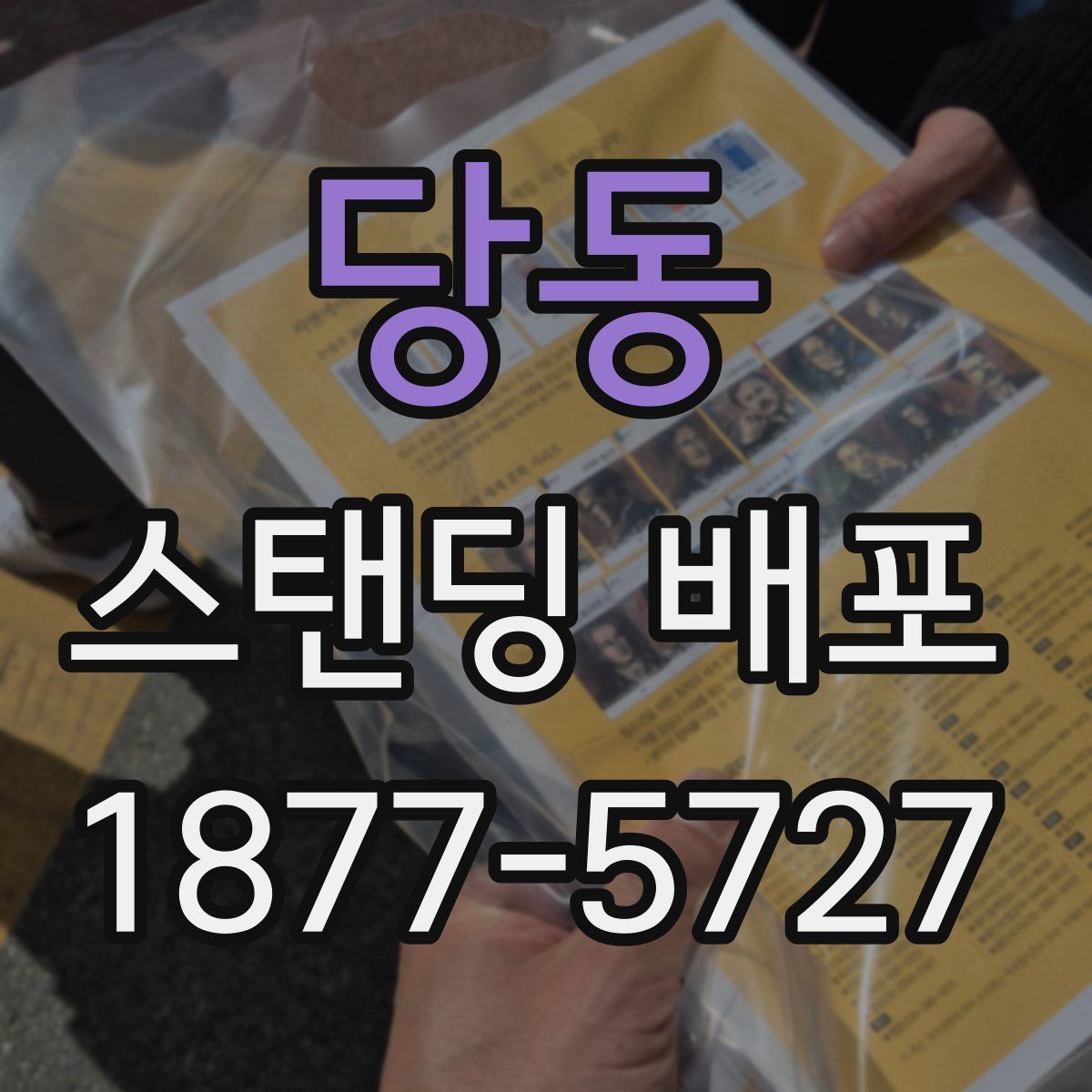 당동 스탠딩 배포