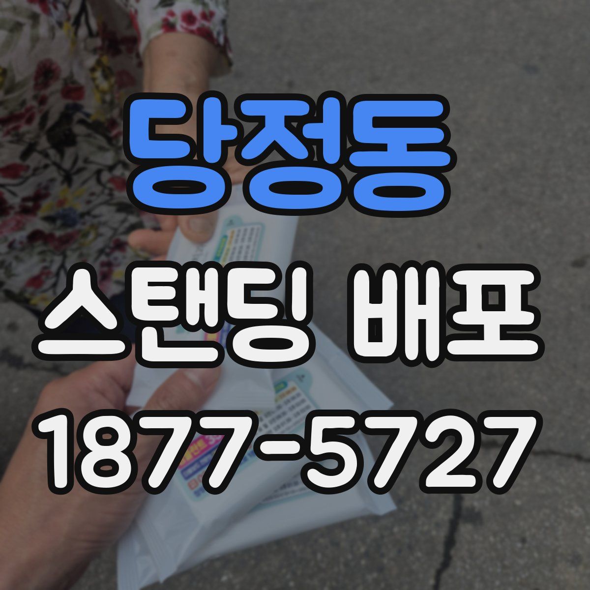 당정동 스탠딩 배포
