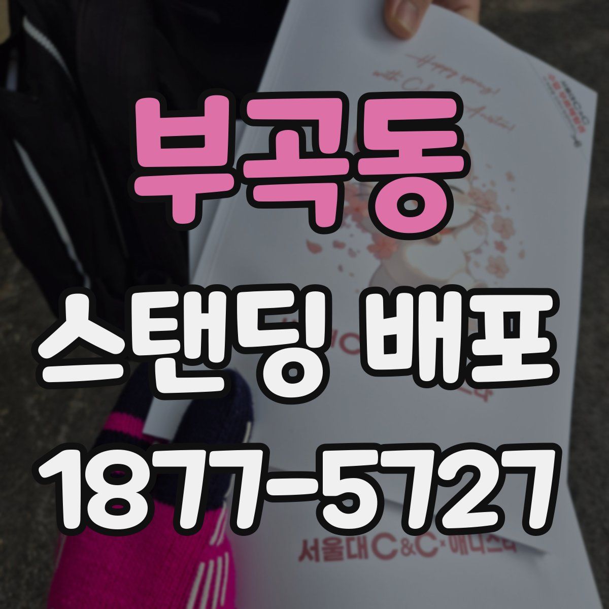 부곡동 스탠딩 배포
