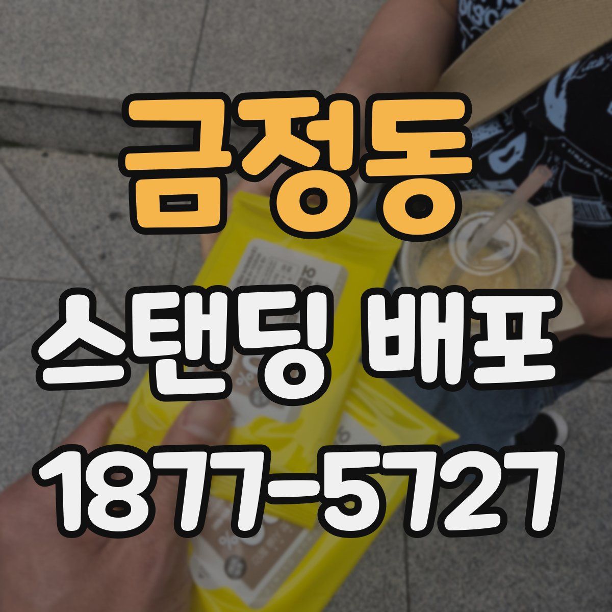 금정동 스탠딩 배포