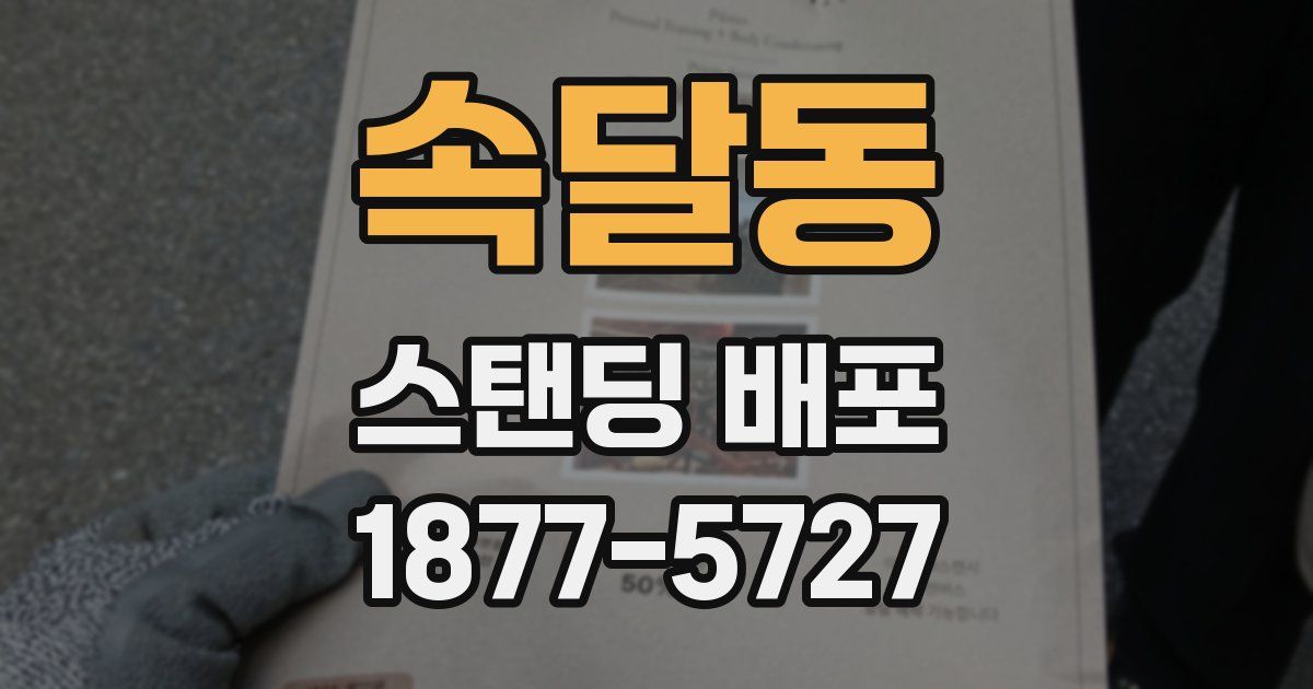 속달동 스탠딩 배포