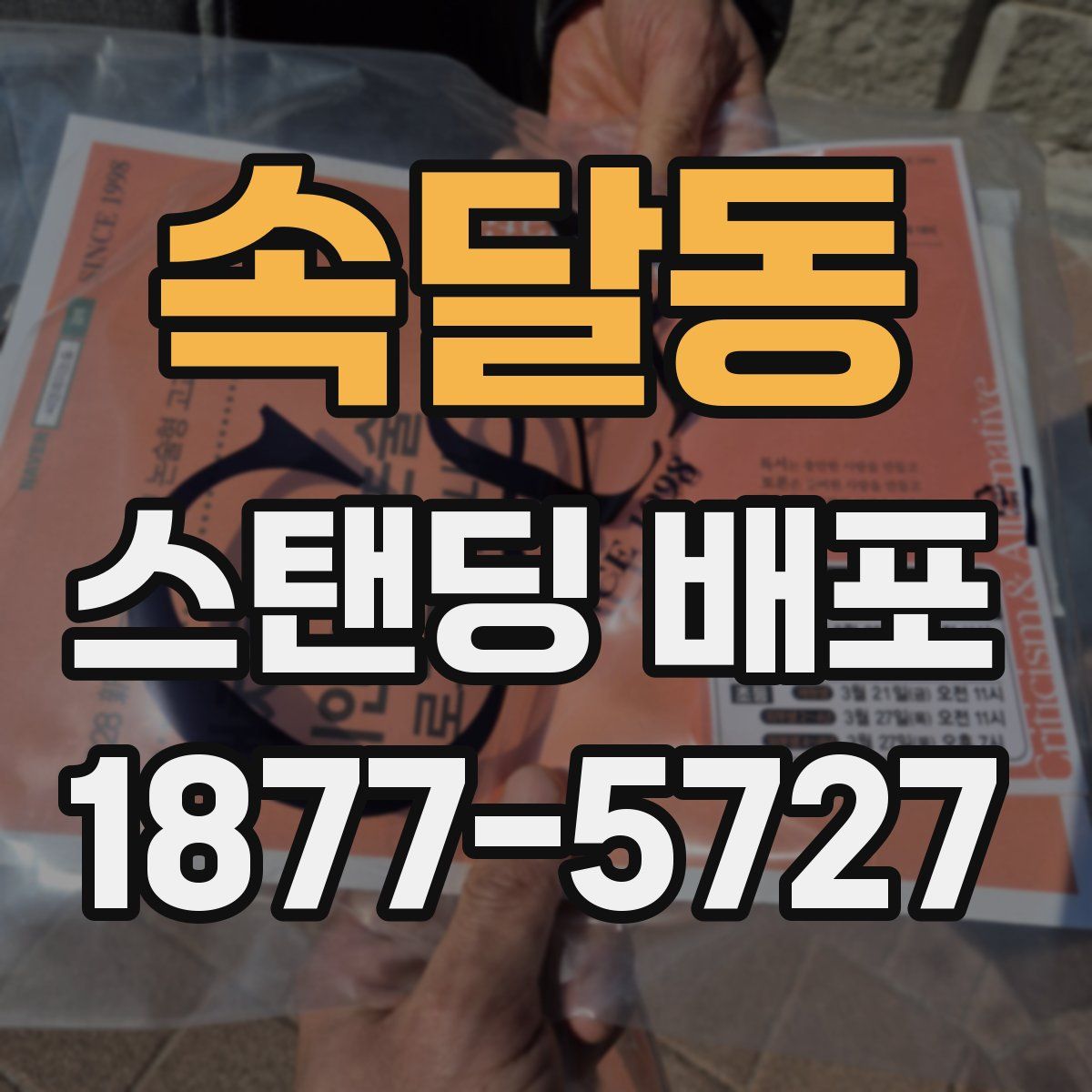 속달동 스탠딩 배포