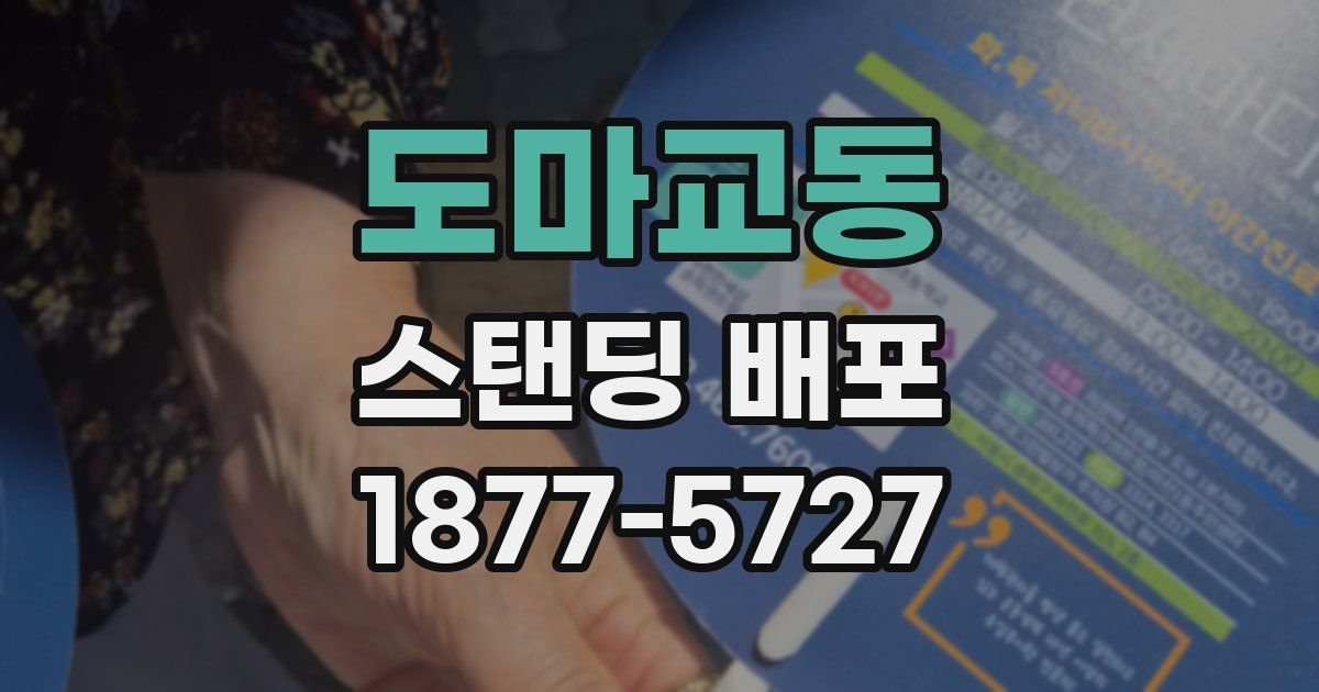 도마교동 스탠딩 배포