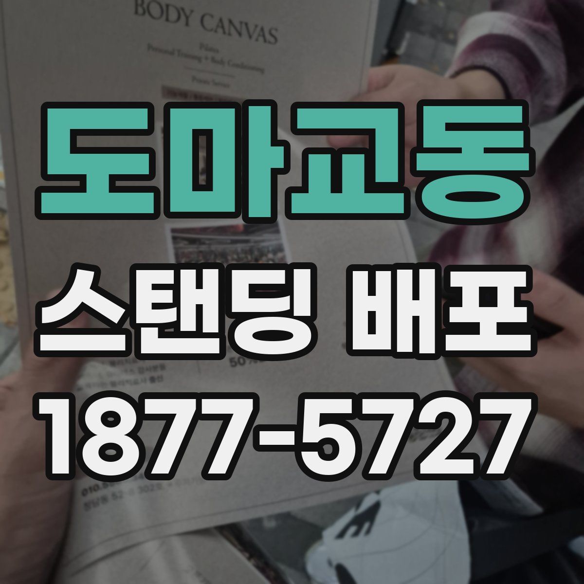 도마교동 스탠딩 배포
