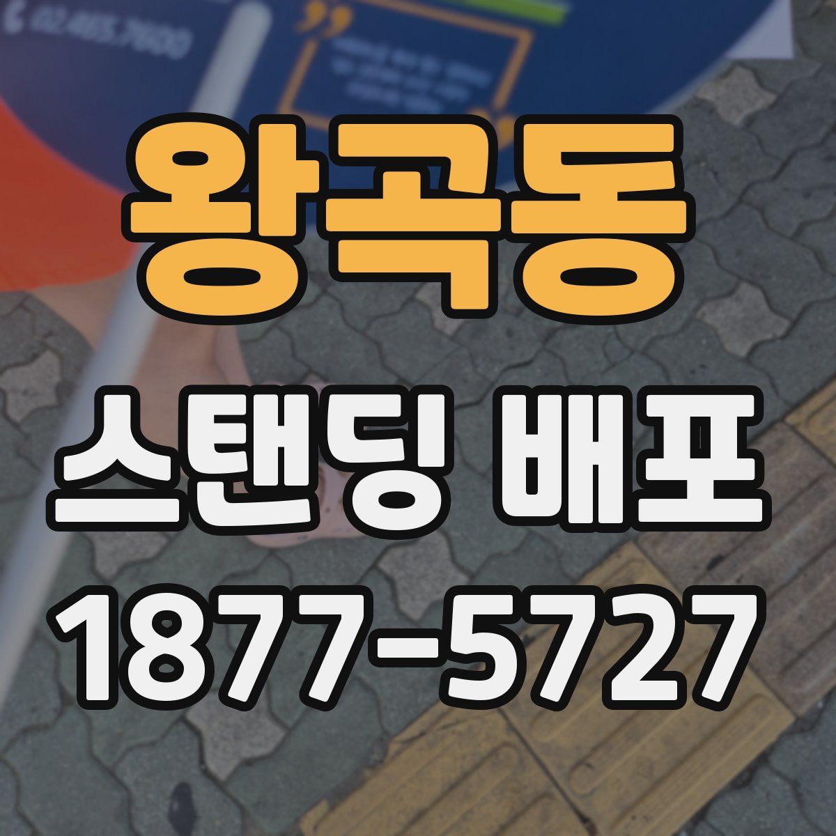 왕곡동 스탠딩 배포