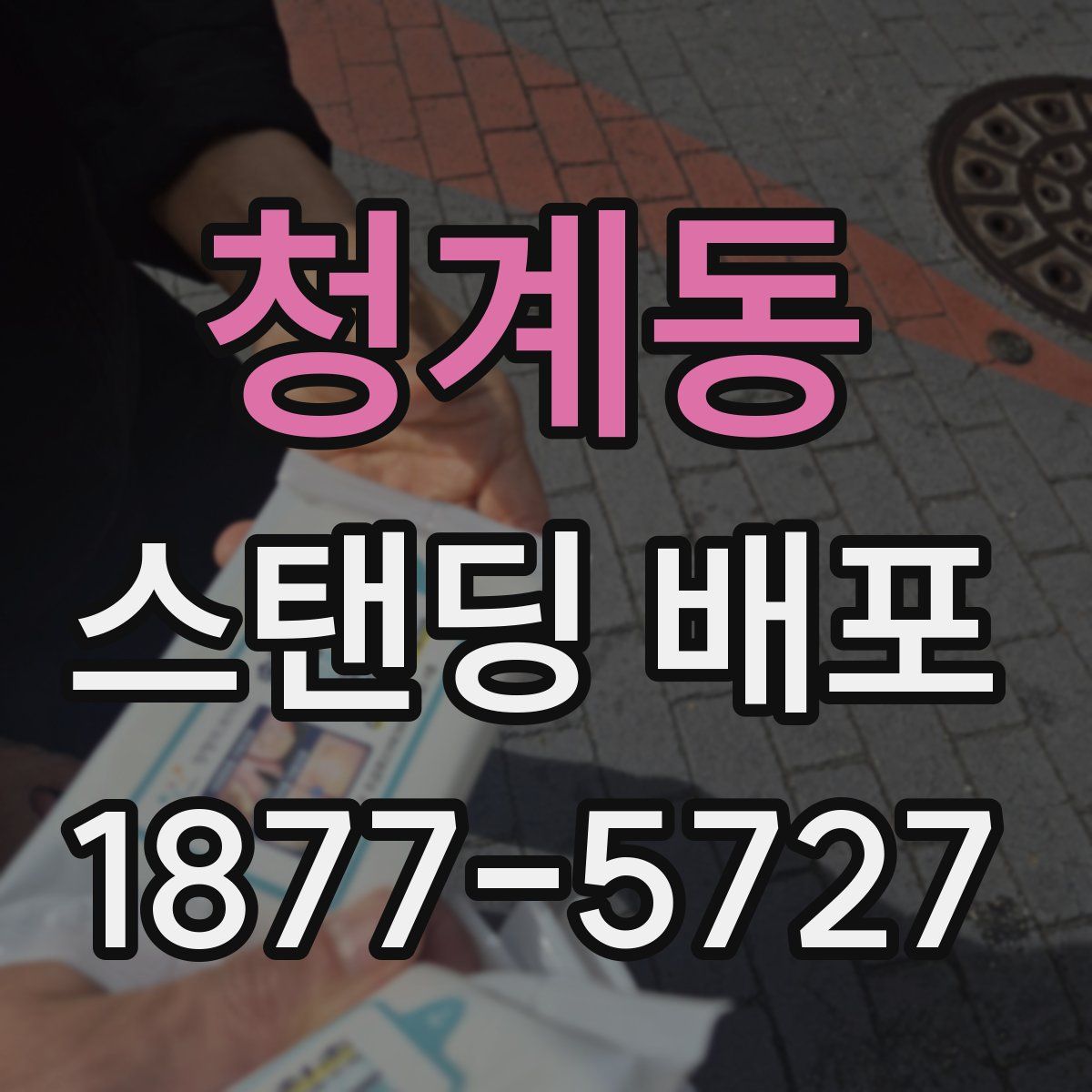 청계동 스탠딩 배포