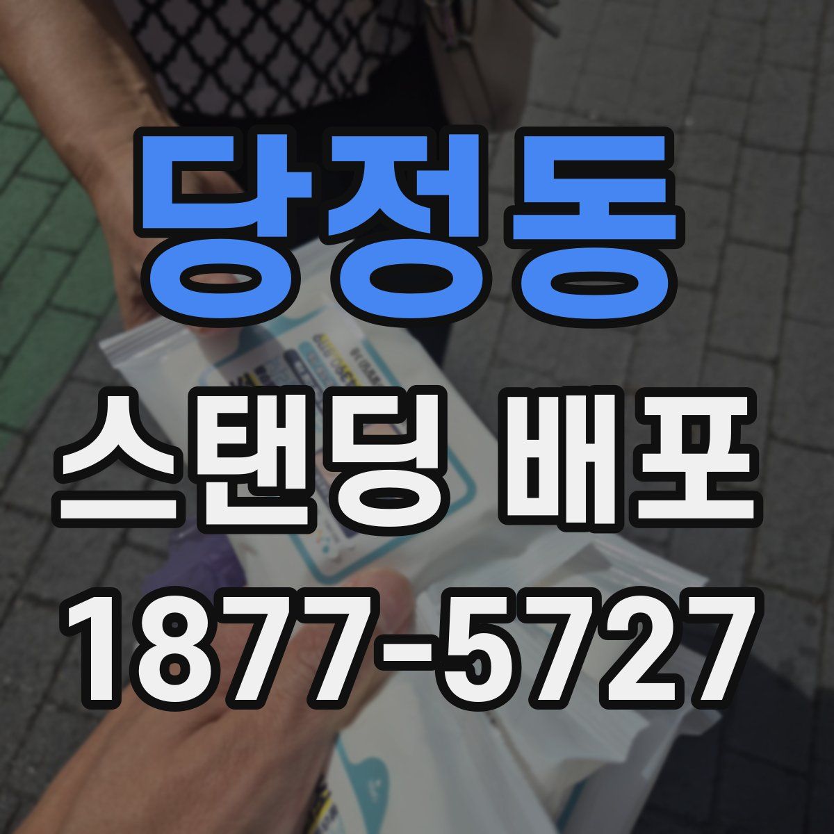 당정동 스탠딩 배포