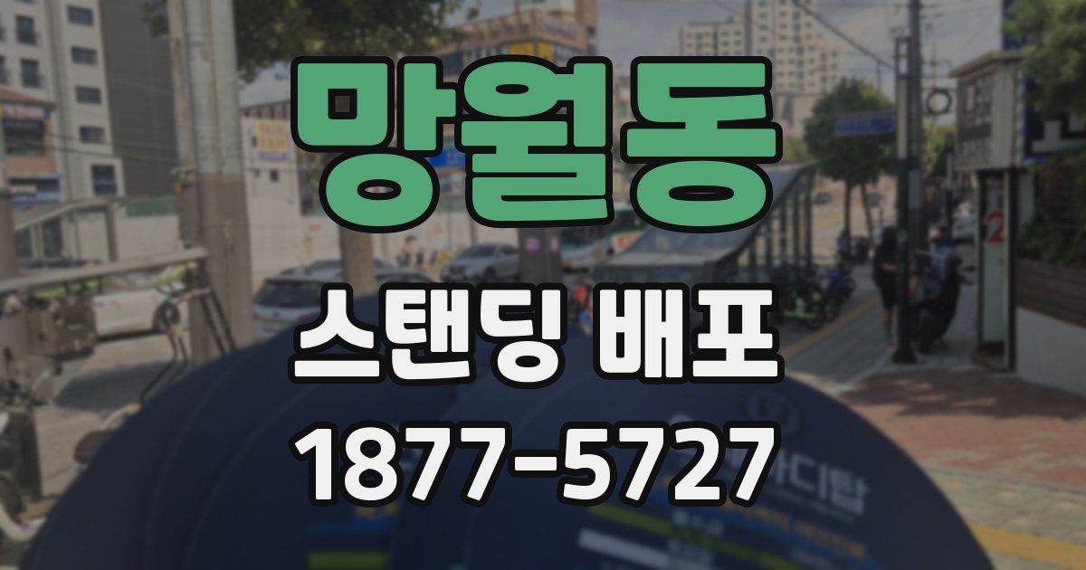 망월동 스탠딩 배포