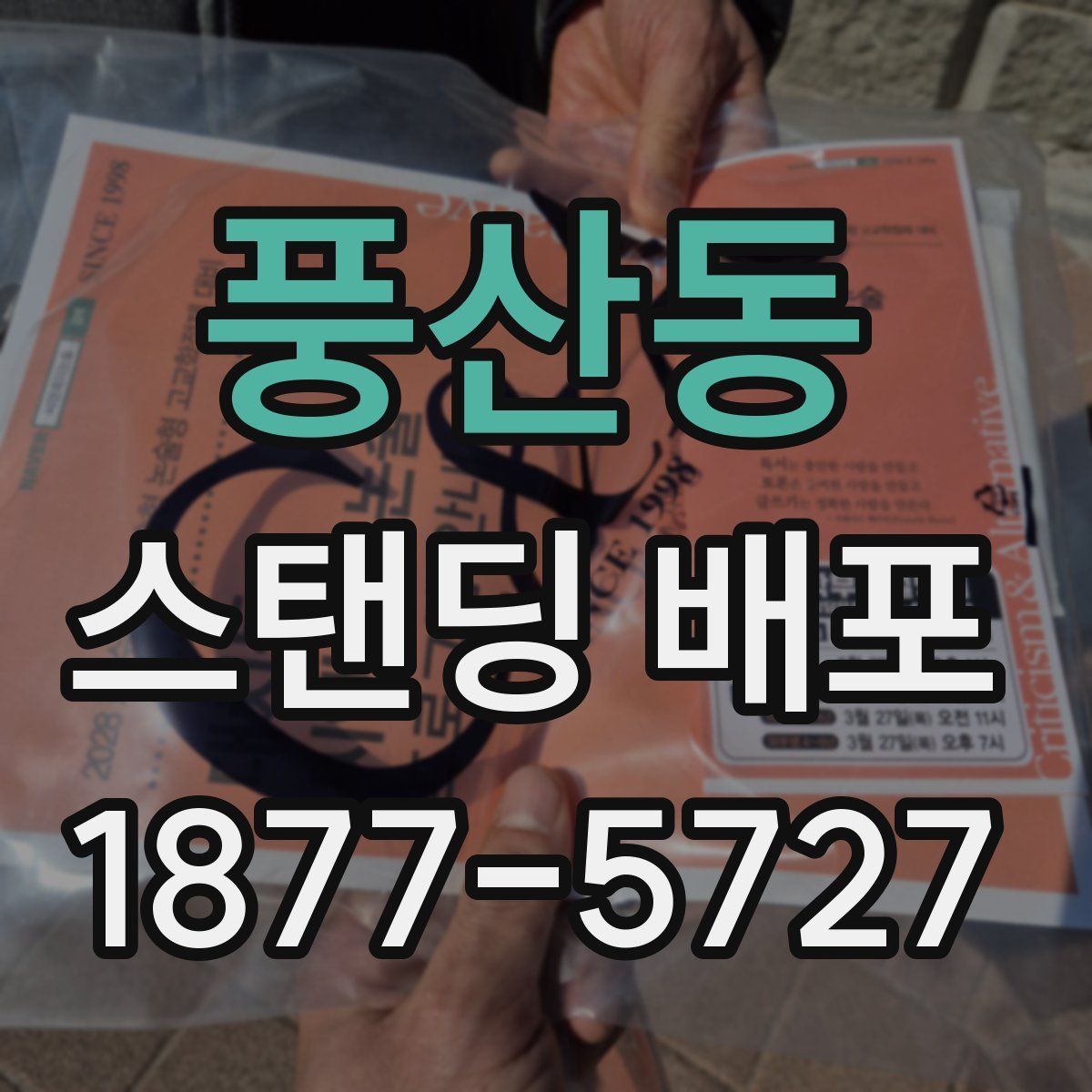 풍산동 스탠딩 배포