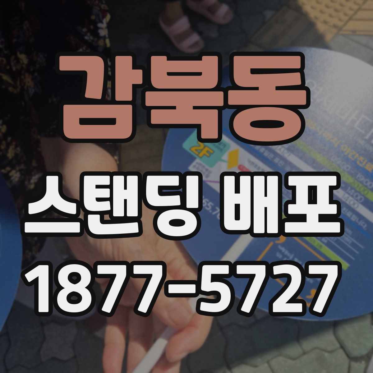 감북동 스탠딩 배포