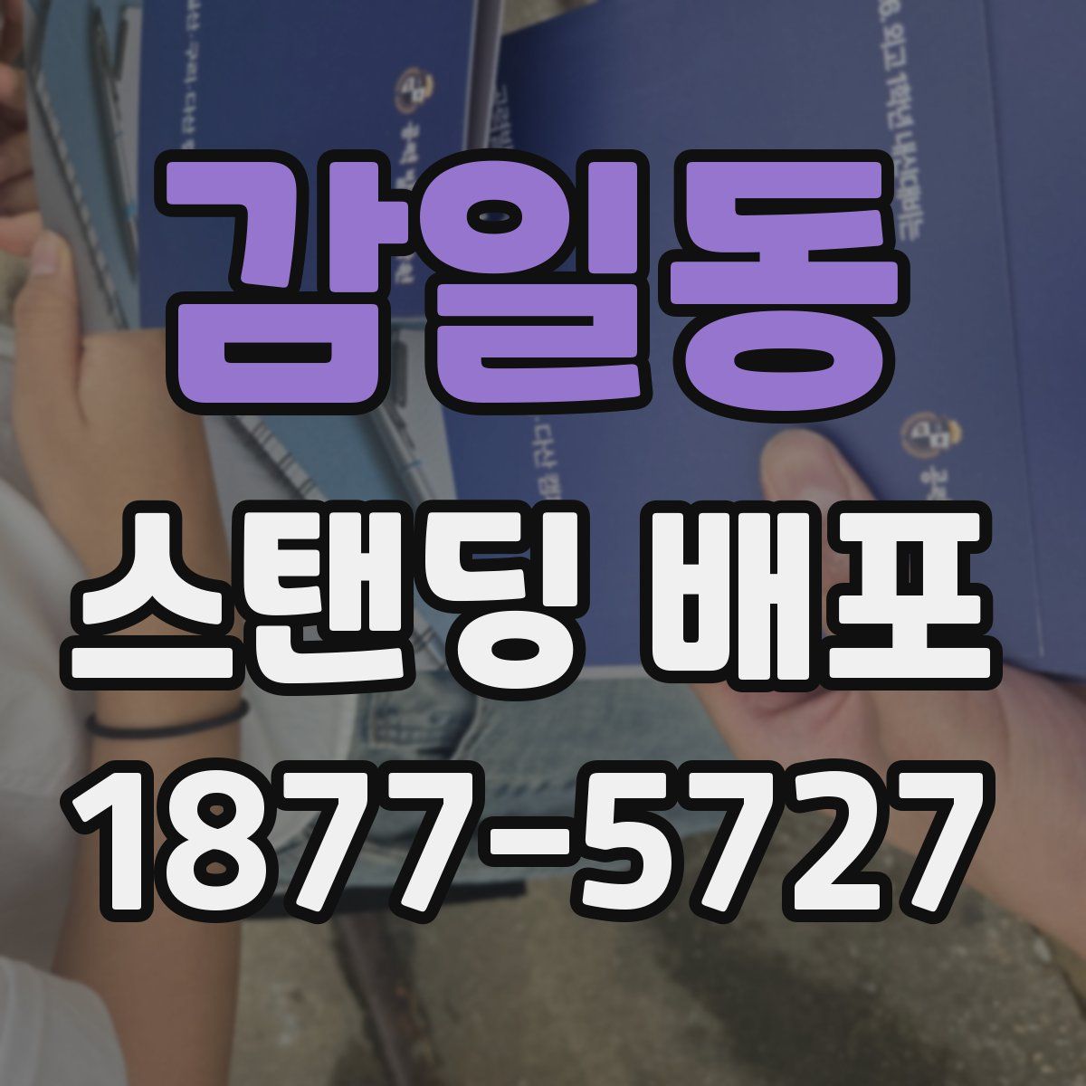 감일동 스탠딩 배포