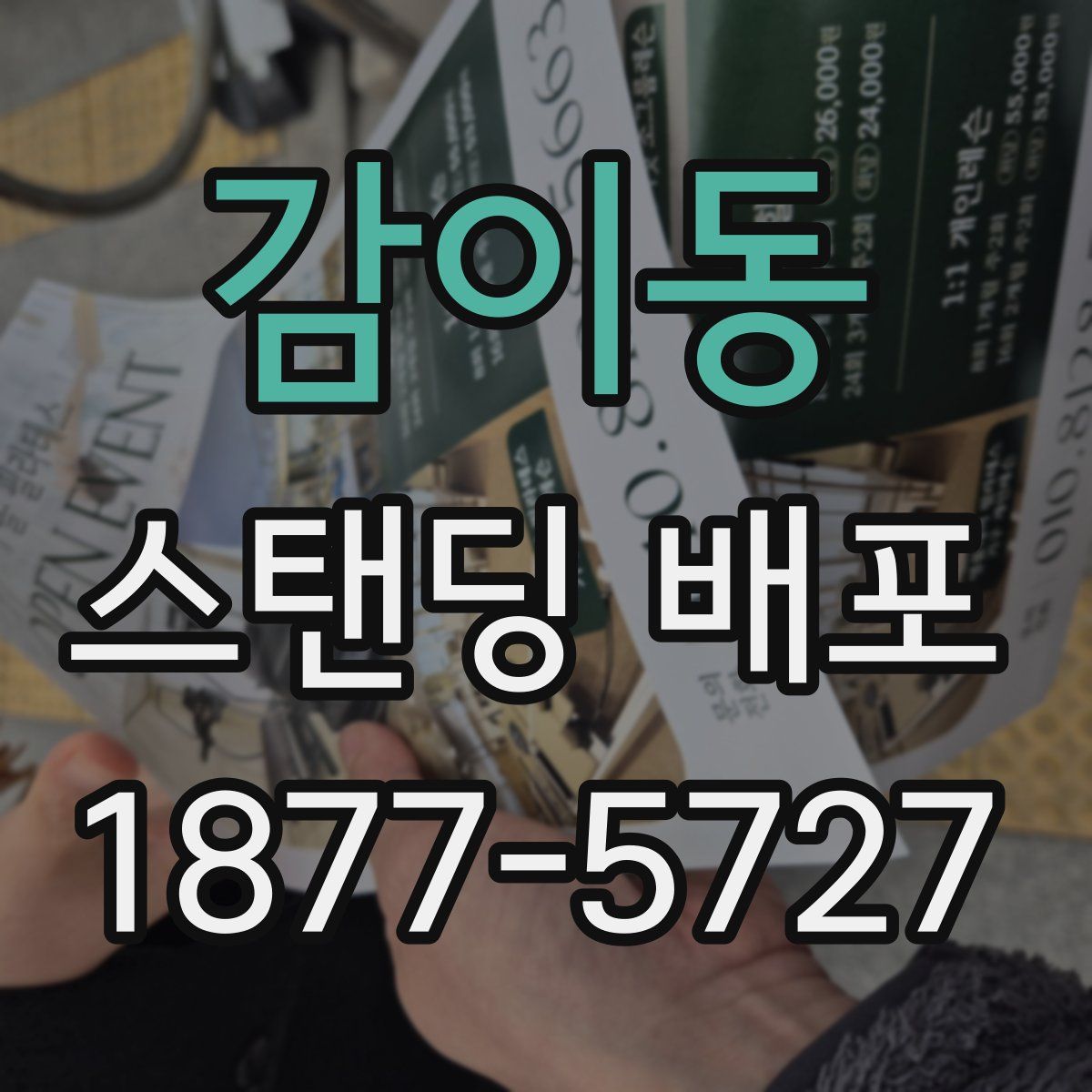 감이동 스탠딩 배포