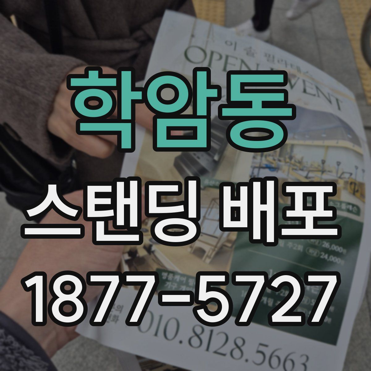 학암동 스탠딩 배포