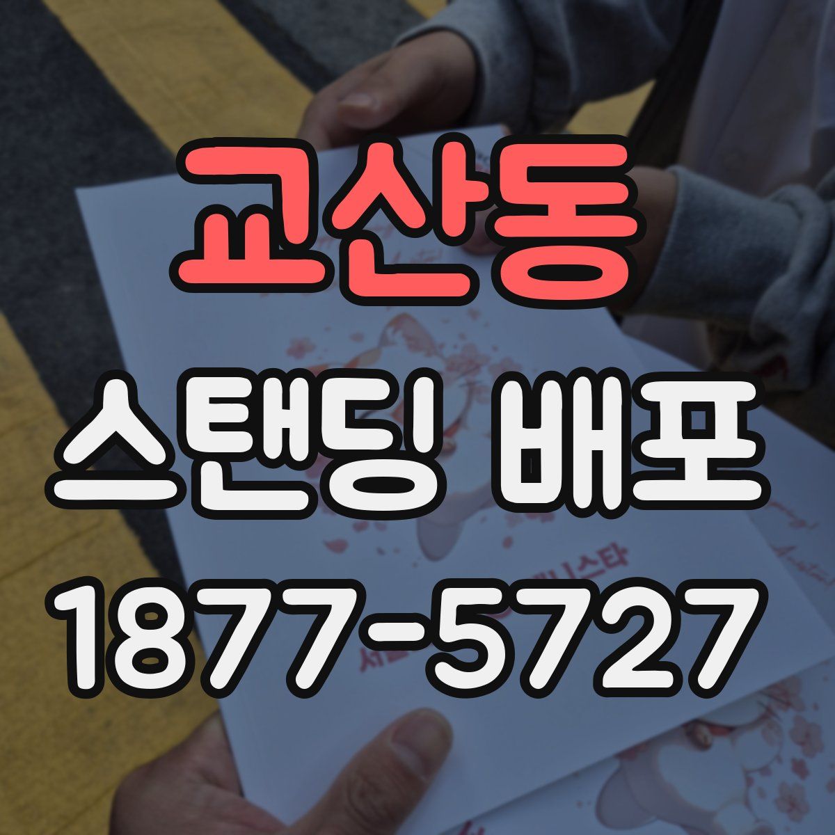 교산동 스탠딩 배포