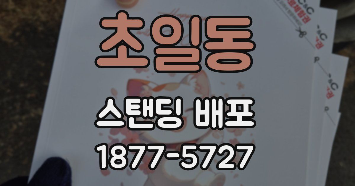 초일동 스탠딩 배포