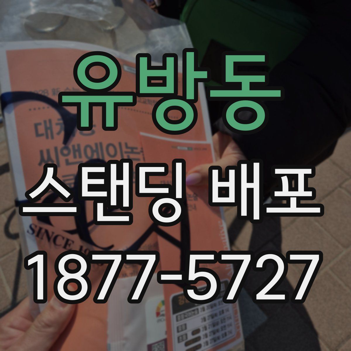 유방동 스탠딩 배포