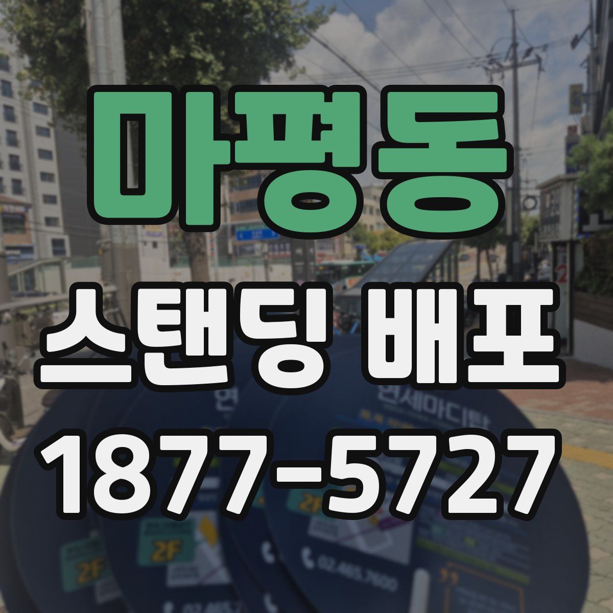 마평동 스탠딩 배포