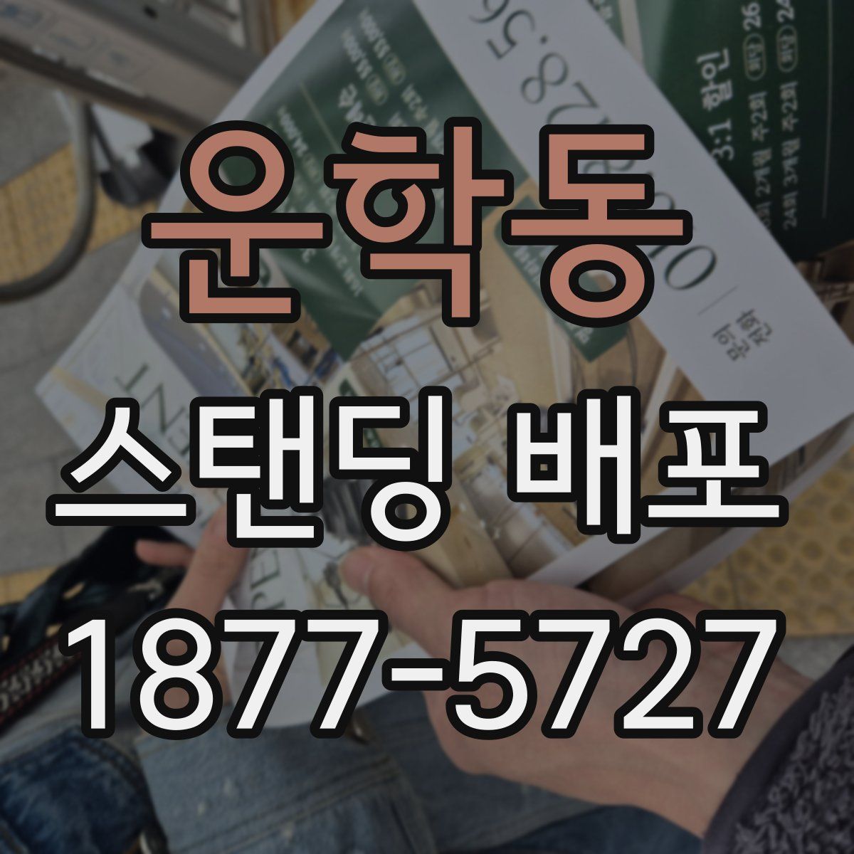 운학동 스탠딩 배포