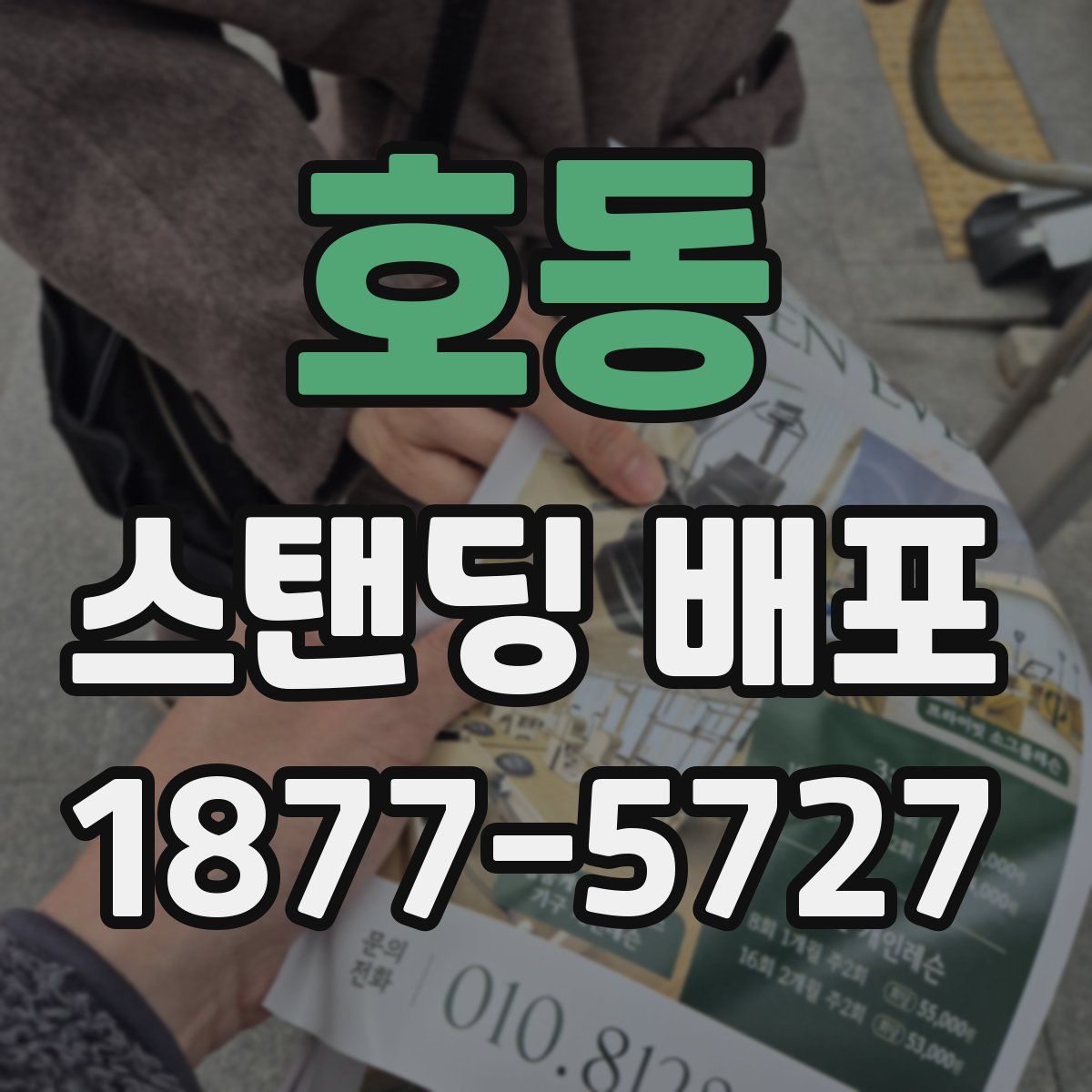 호동 스탠딩 배포