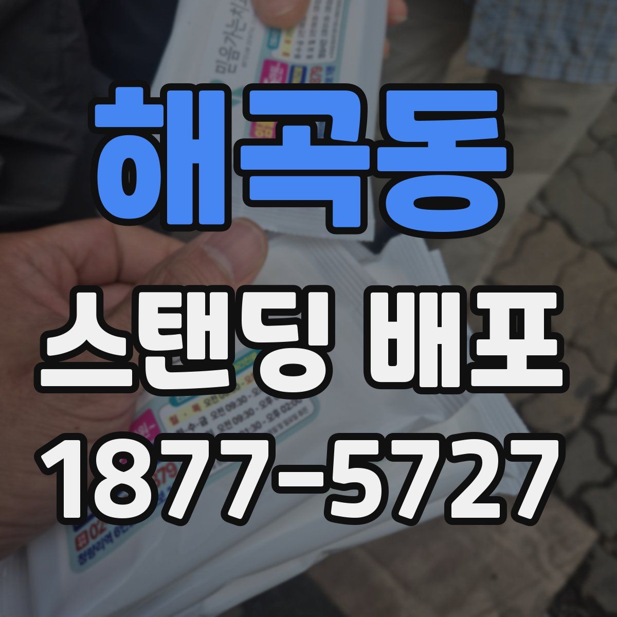 해곡동 스탠딩 배포