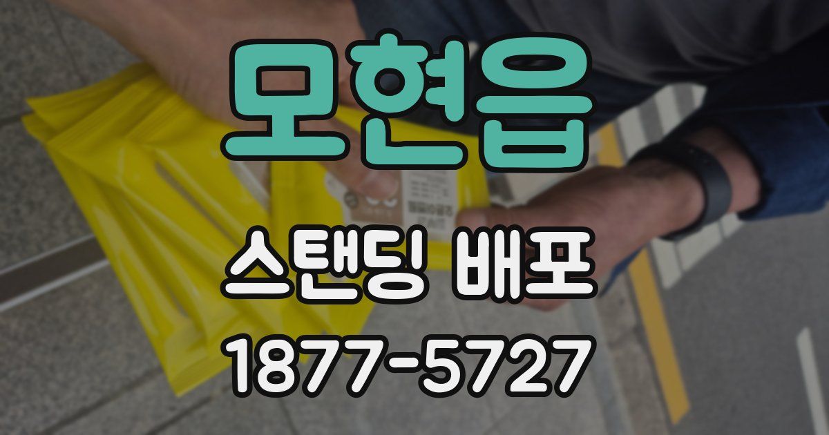 모현읍 스탠딩 배포