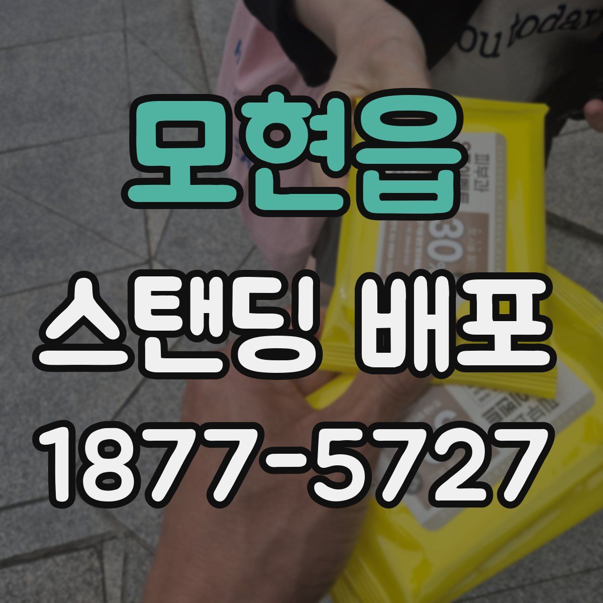 모현읍 스탠딩 배포