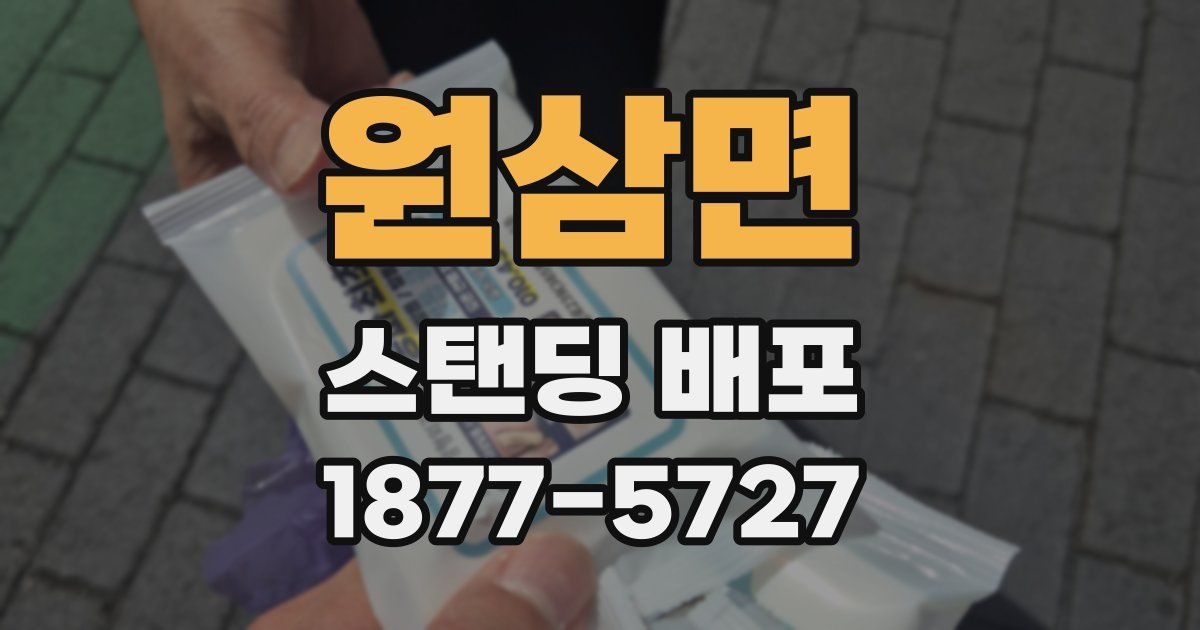 원삼면 스탠딩 배포