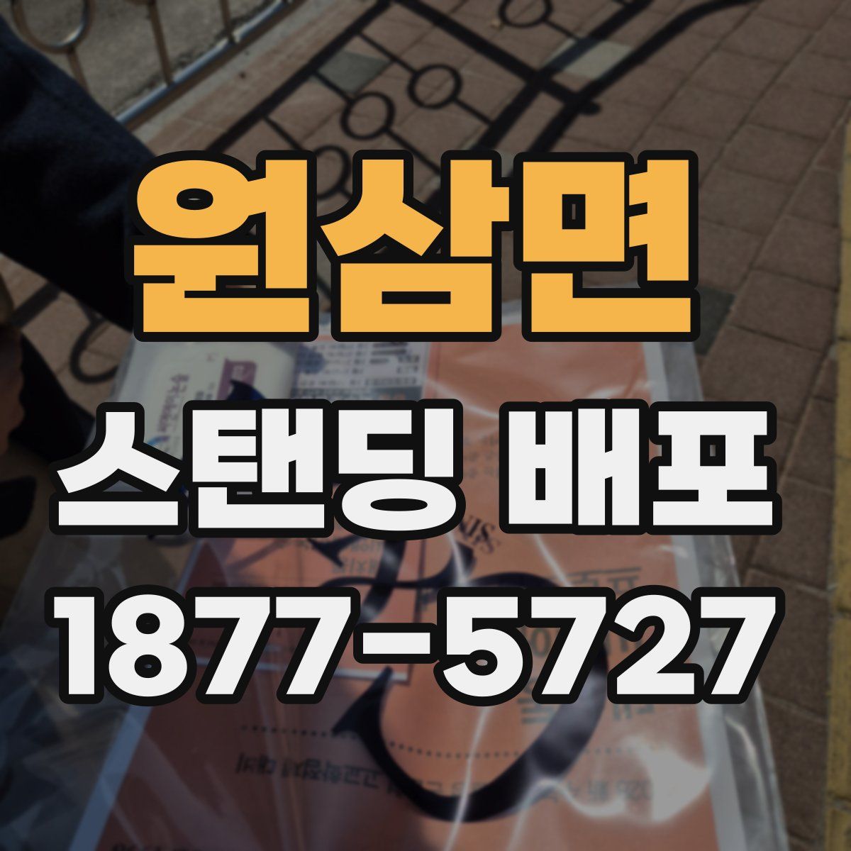 원삼면 스탠딩 배포