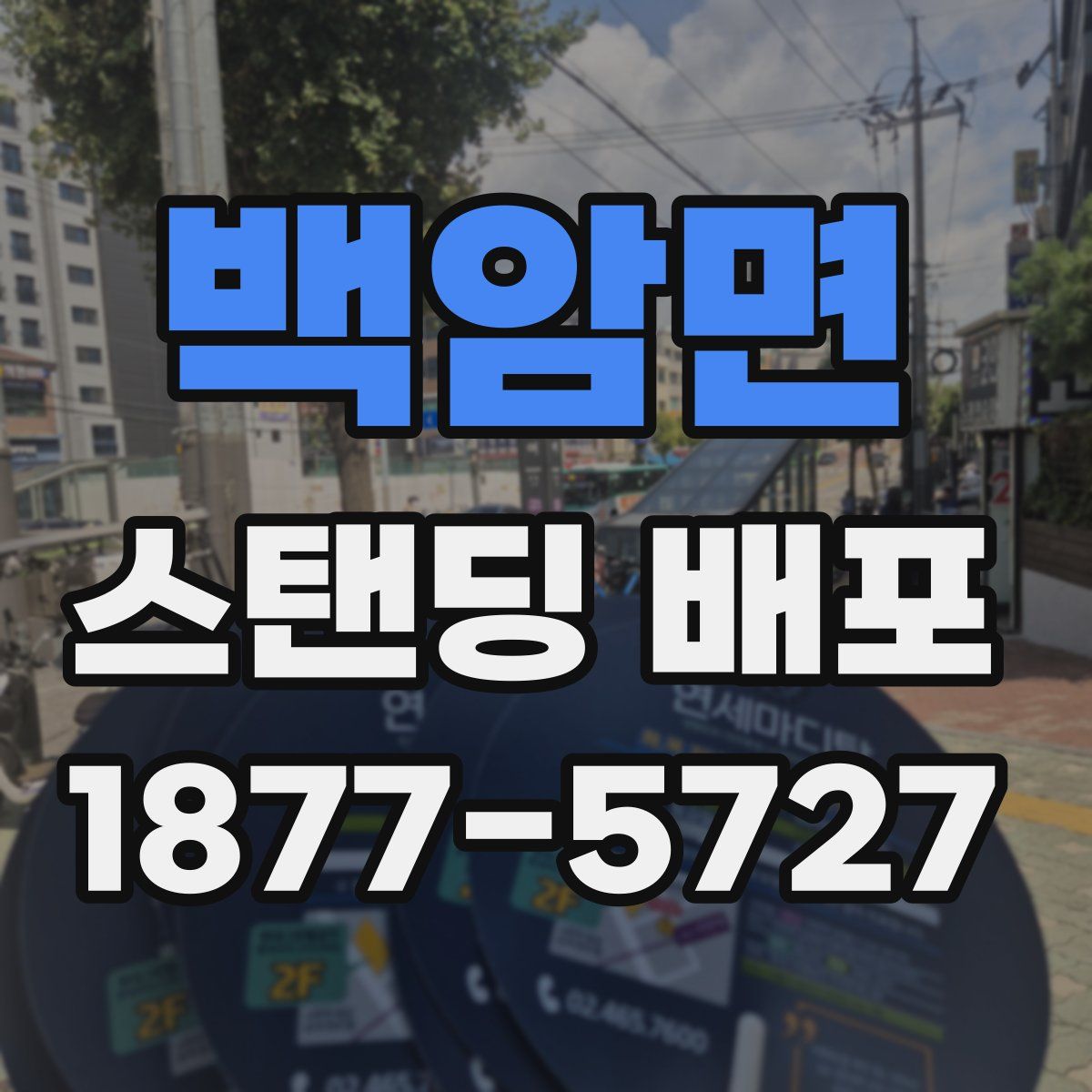 백암면 스탠딩 배포