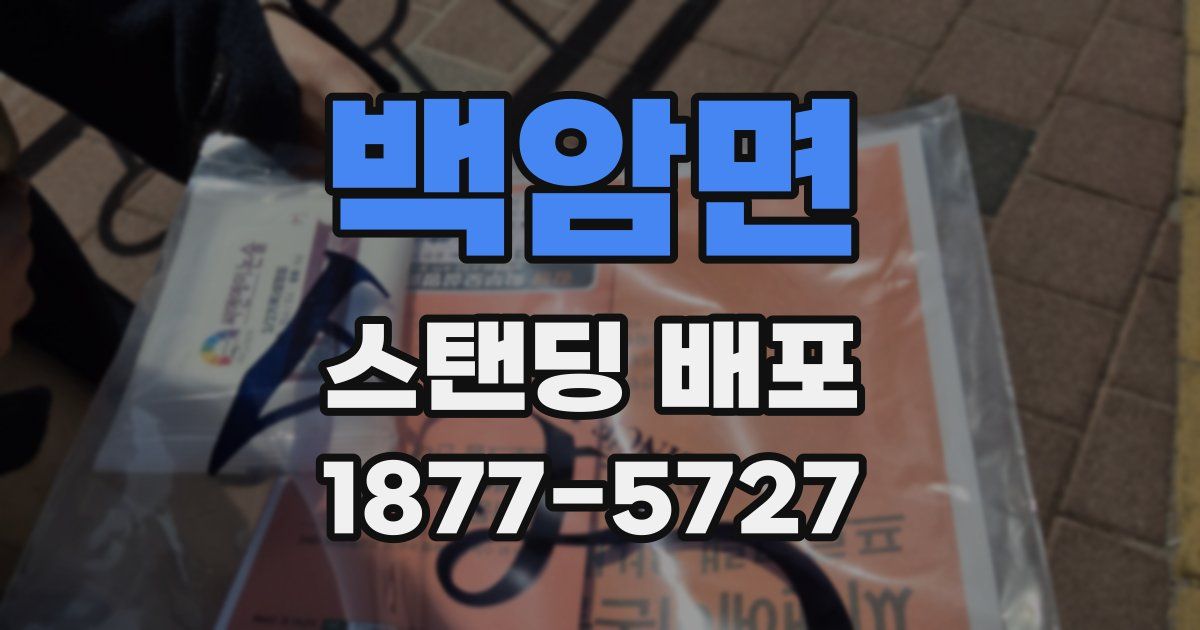 백암면 스탠딩 배포