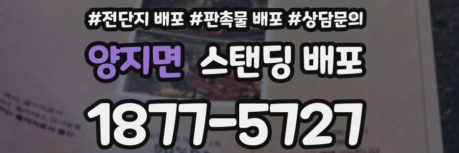 양지면 스탠딩 배포