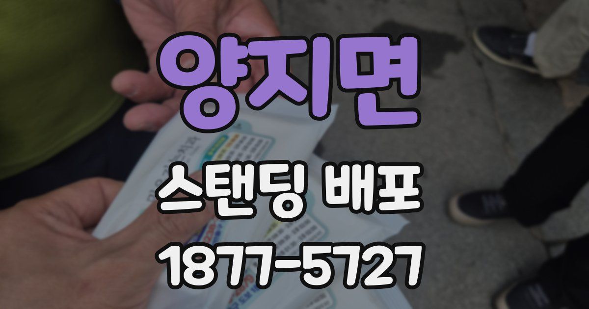 양지면 스탠딩 배포