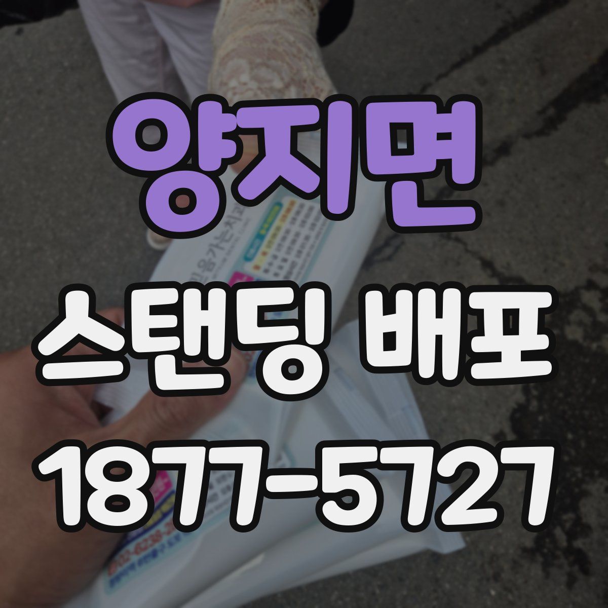 양지면 스탠딩 배포