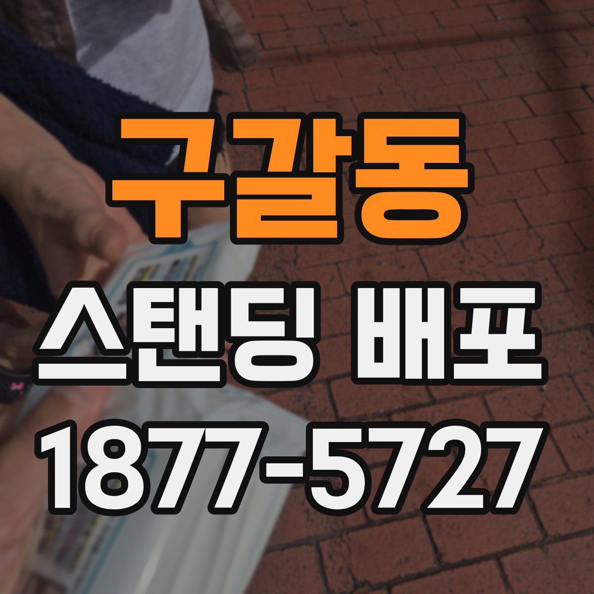 구갈동 스탠딩 배포