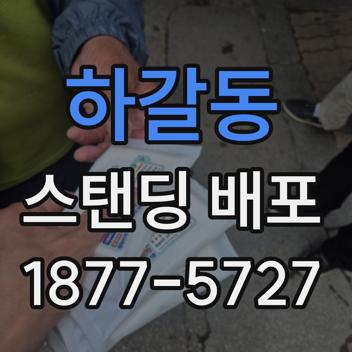 하갈동 스탠딩 배포