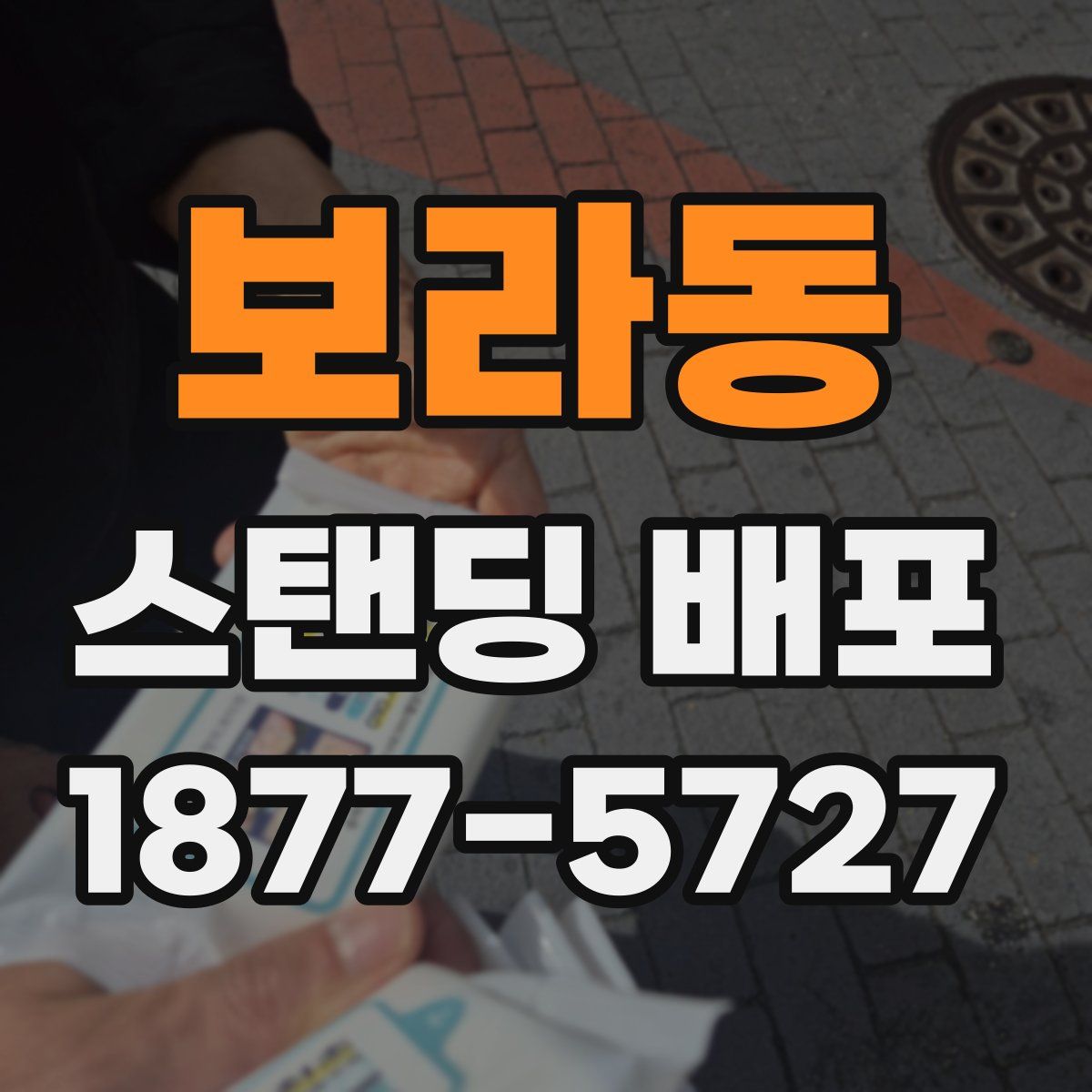 보라동 스탠딩 배포