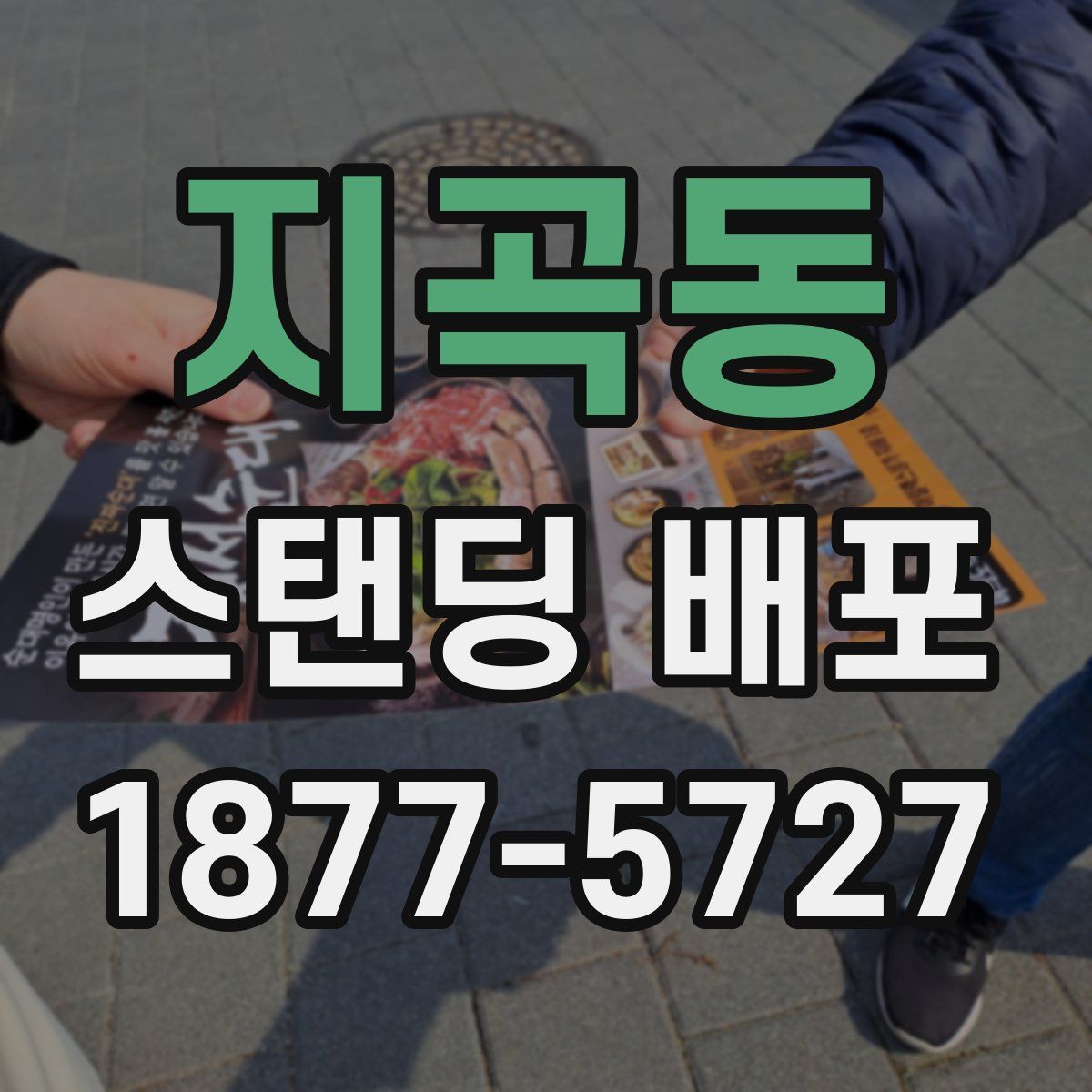 지곡동 스탠딩 배포