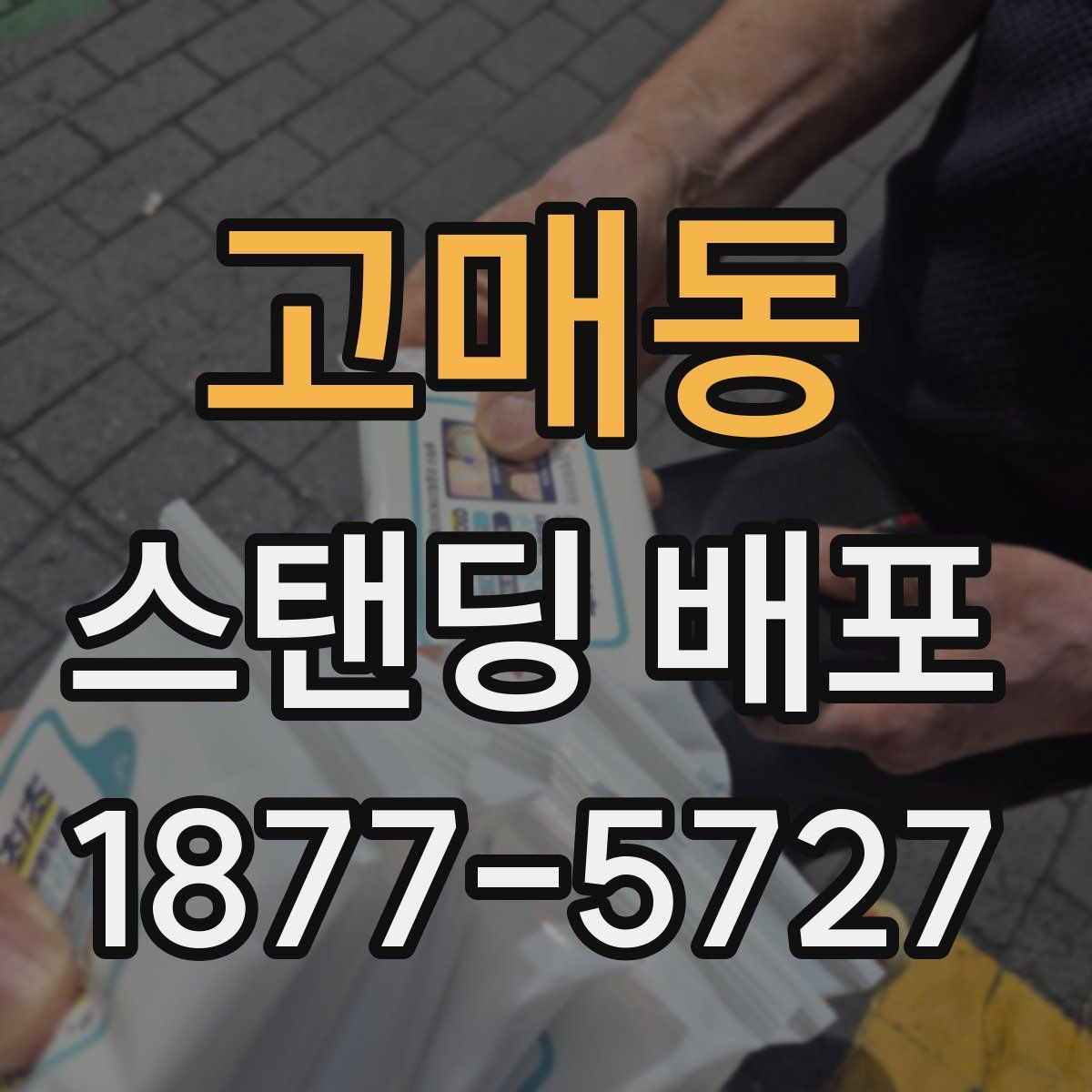 고매동 스탠딩 배포