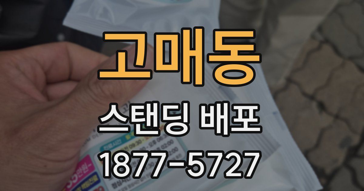 고매동 스탠딩 배포