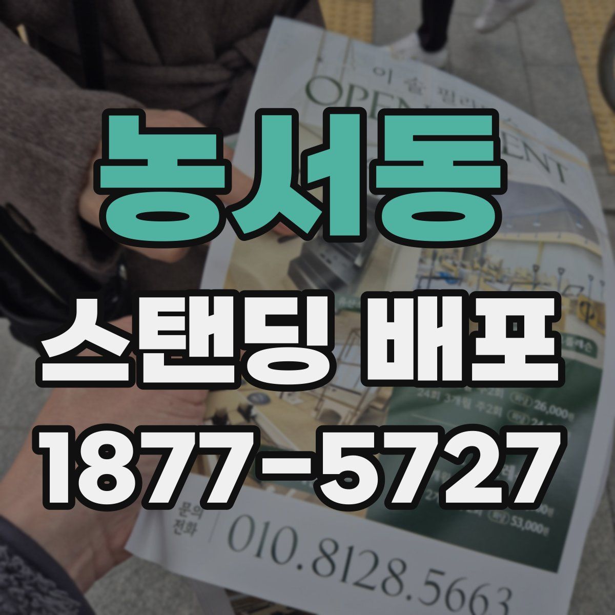 농서동 스탠딩 배포